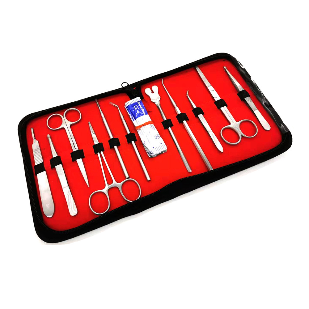 Tools Quality - Kit di Dissezione in Acciaio Inossidabile
